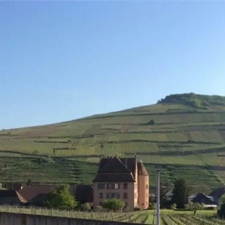 Villa Un Petit Coin D'Alsace Soultzmatt Exterior foto