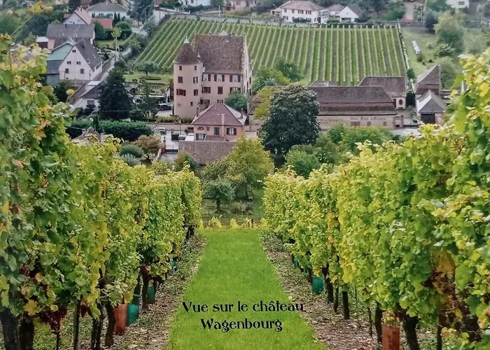Un Petit Coin D\'Alsace