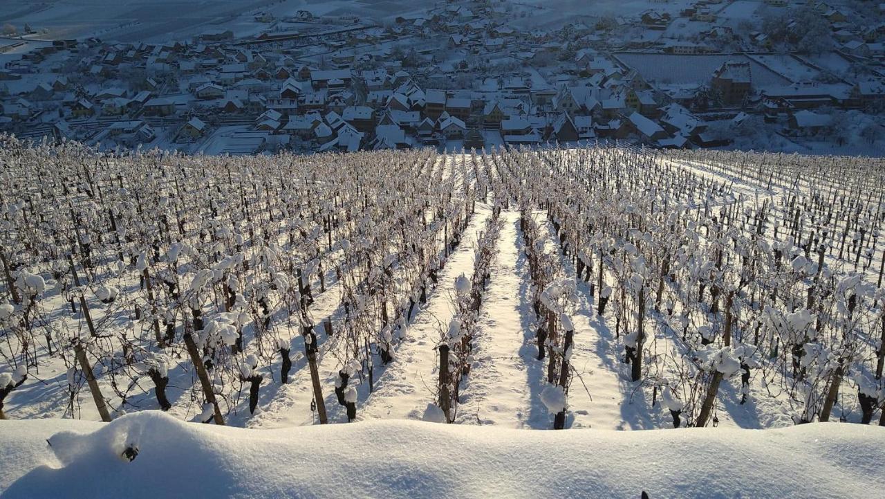 Un Petit Coin D'alsace *